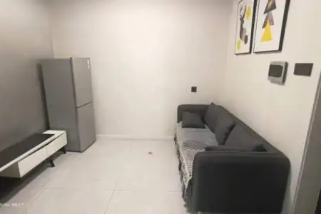 紧邻地铁口,伟星金域华府，稀缺小房型双南房