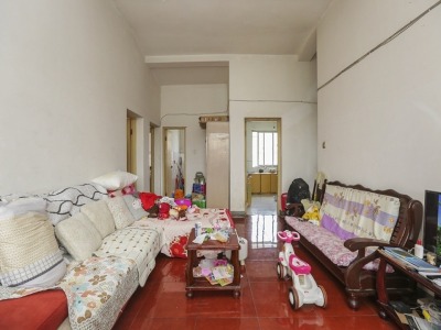 杨毛埂新村3室2厅1卫南精装真实好房