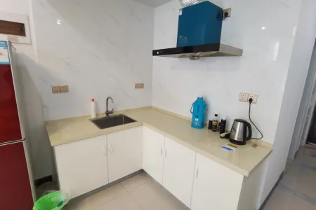 柏庄观邸财富广场 1房1厅1卫 1元/月 采光充足