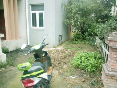 三山碧桂园翠堤春晓