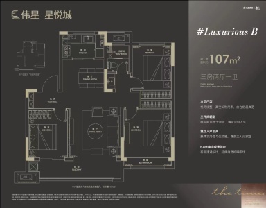 伟星星悦府