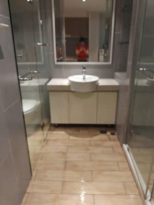 远洲公馆