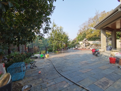 凤凰城中岛玫瑰苑别墅