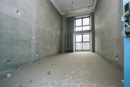 绿地新都会甲级南毛坯真实好房