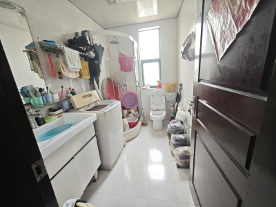 中央花园(花山)