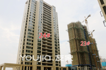 皖新春江明月-骆海燕