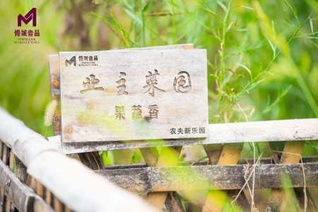 慢城壹品-储文祥