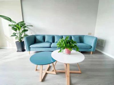 九里香溪-储文祥