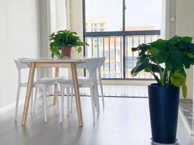 九里香溪-储文祥