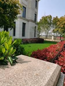 信德半岛别墅-方桢