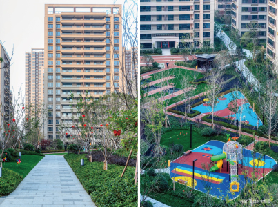 伟星金悦府-接文才