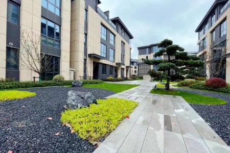 安展莲台-接文才