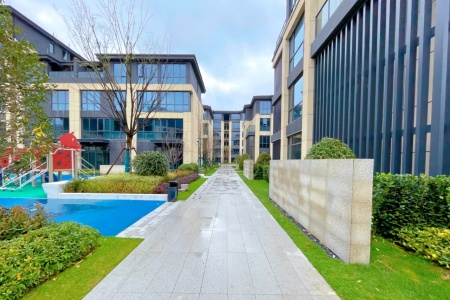 安展莲台-接文才