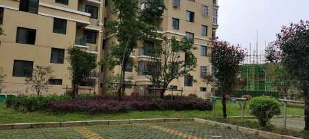 金桥名都-储文祥