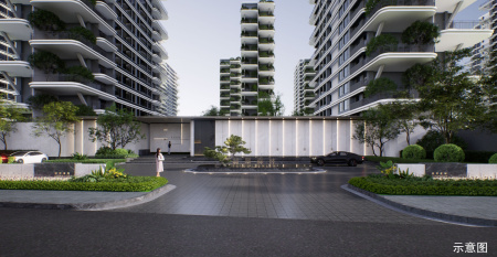 伟星翡翠森林-李雪