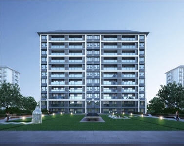 大家璞悦光年-李雪