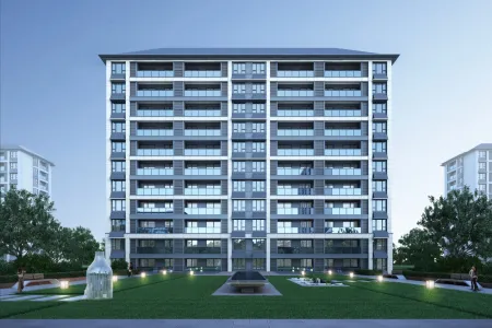 大家璞悦光年-李雪