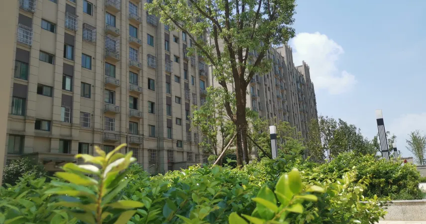 春城花园-储文祥