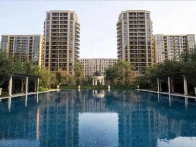 万华南湖春晓-李雪