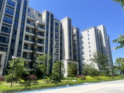 皖新春江明月--储文祥