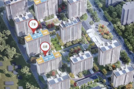 瓴鑫鼎元东郡-李雪