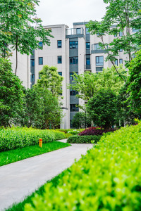 皖新春江明月-李雪