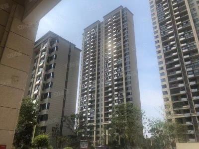 华地紫悦府-李雪