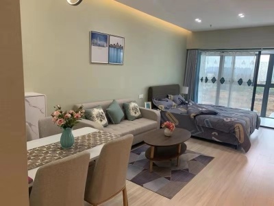 苏宁环球商铺-李雪