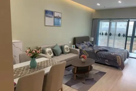 苏宁环球商铺-李雪