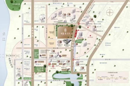 卓瑞 悦光年-李雪