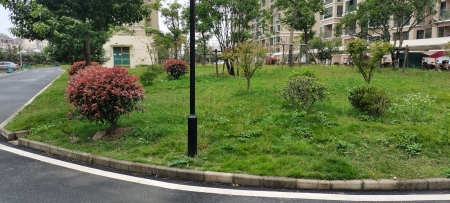 金桥名都-储文祥