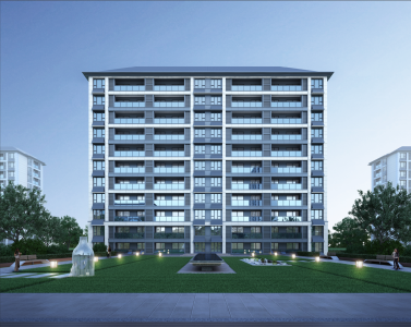 大家璞悦光年-骆海燕