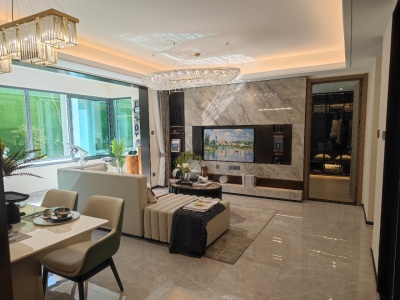 伟星镜湖壹品-储文祥