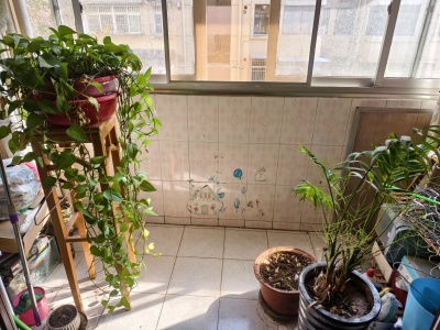 沙塘村2房2厅1卫南简装真实好房