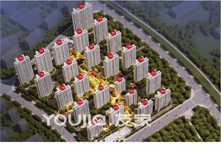 皖新春江明月-骆海燕