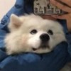 吴彰彬