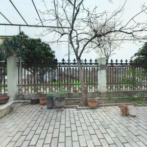 十里示范村豪华区