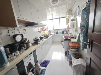 中央花园(花山)