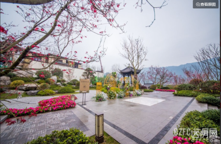 蓝光·芙蓉风华