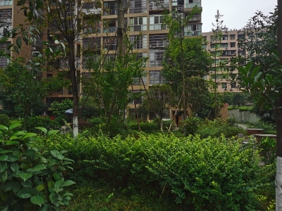 西汇名都