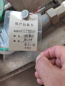 凤凰山路29