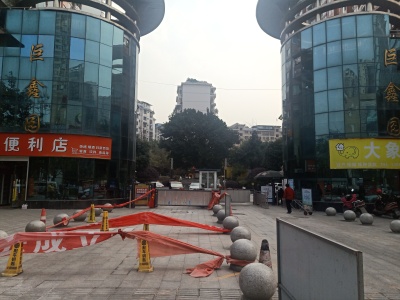 巨鑫园