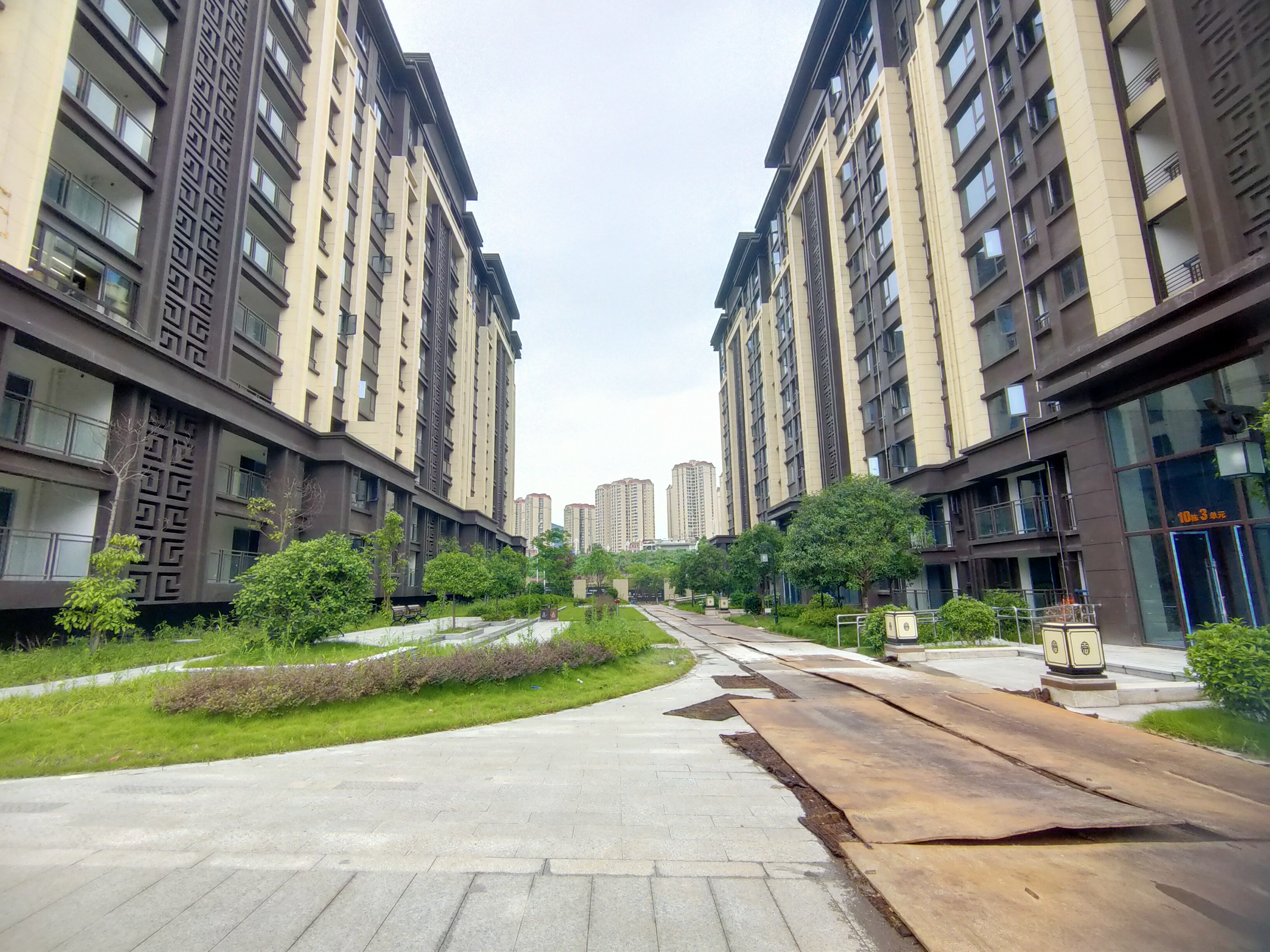 中迪西院