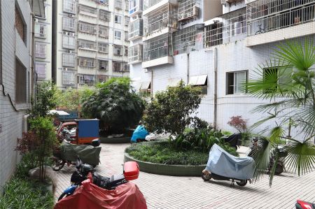 清晨帝景名都