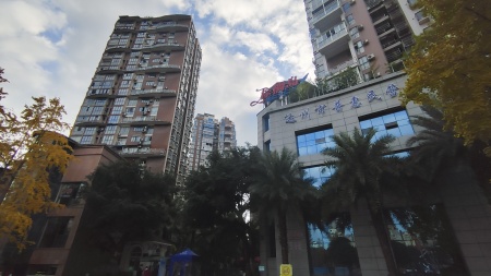 棕榈岛