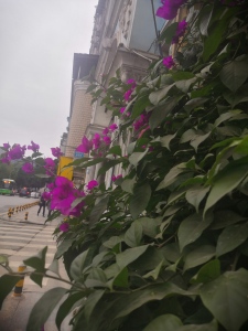 洲河花园