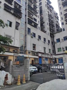 交通局家属院（南外）