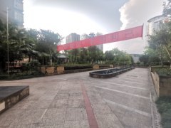 罗浮知天下