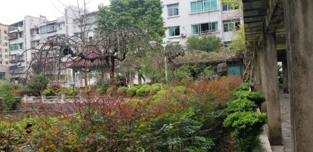 农业银行家属院（凤翎关）