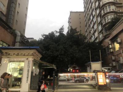 信德城市绿洲